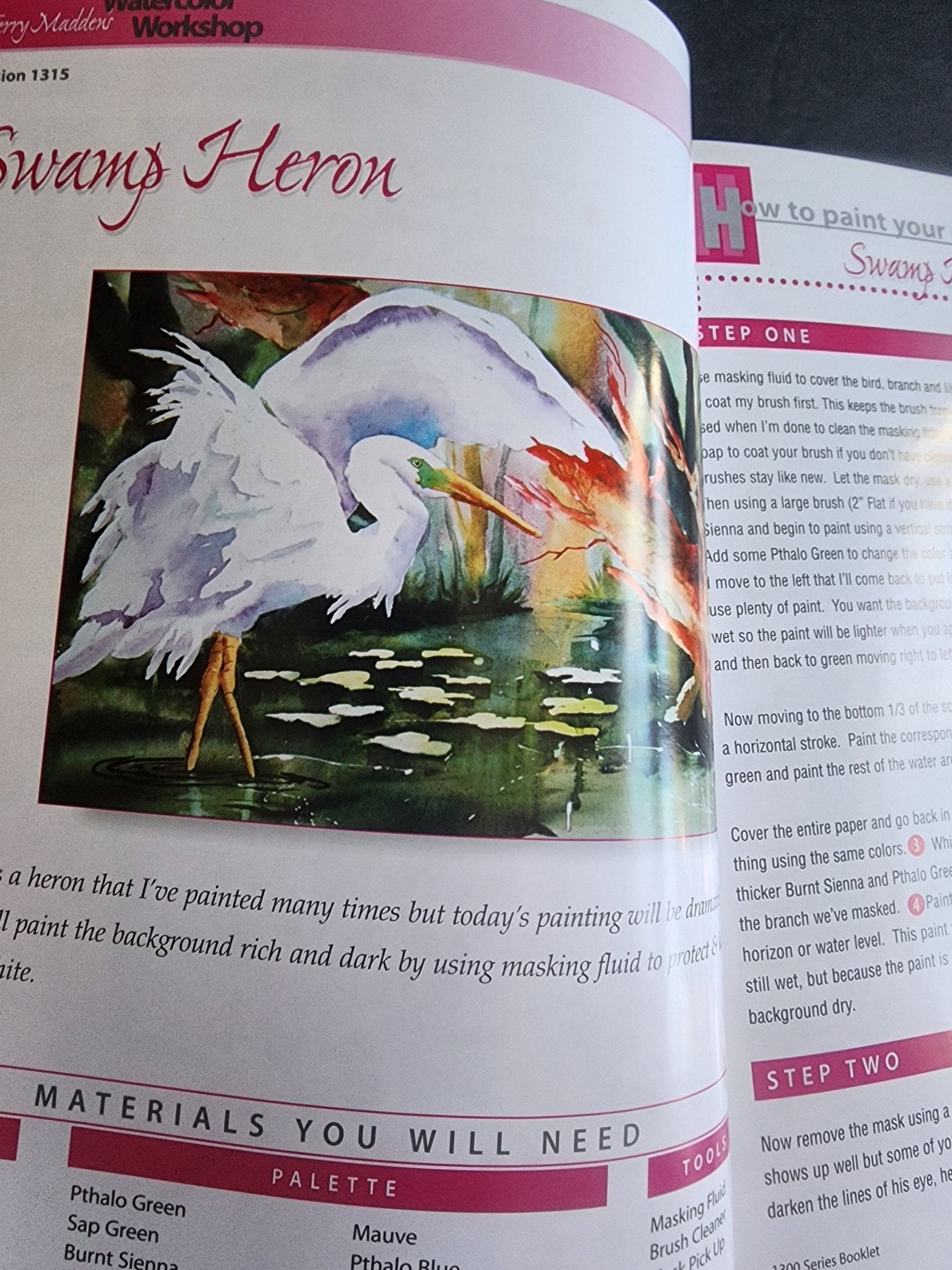 Terry Madden s Wonderful World of Watercolor - 1200 Series - Volume 2, pb book - I Bought a Yard Sale