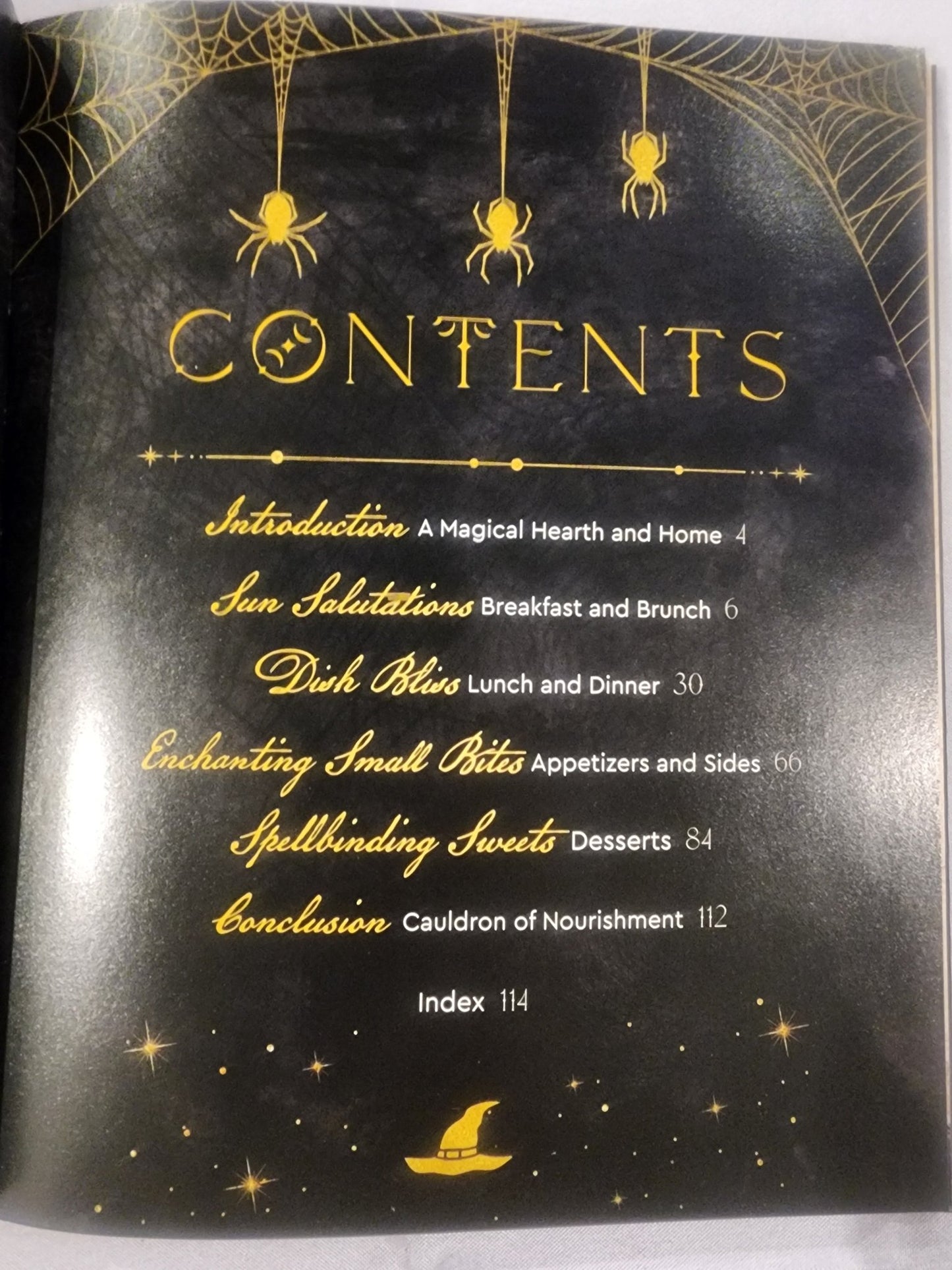 The Witch's Cookbook: 50 Wickedly Delicious Witchcraft - Inspired Recipes HB Book - I Bought a Yard Sale