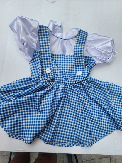 Vintage Dorothy Wizard of Oz Child's Costume - Size Small - I Bought a Yard Sale