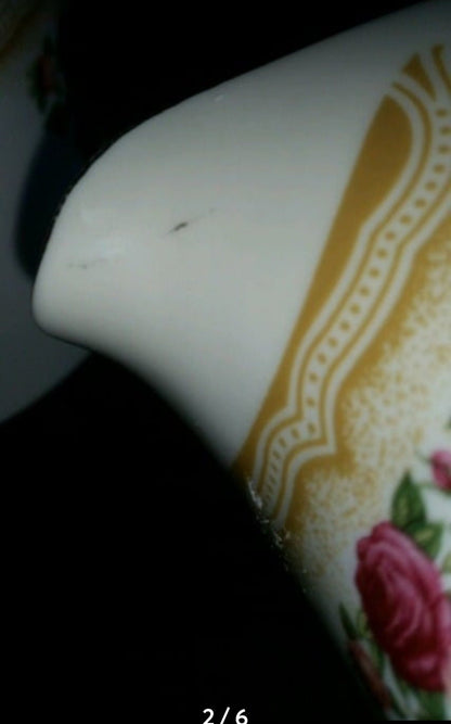 Vintage Farberware China Sydney Roses Sugar Bowl and Creamer Set - Good Condition - I Bought a Yard Sale
