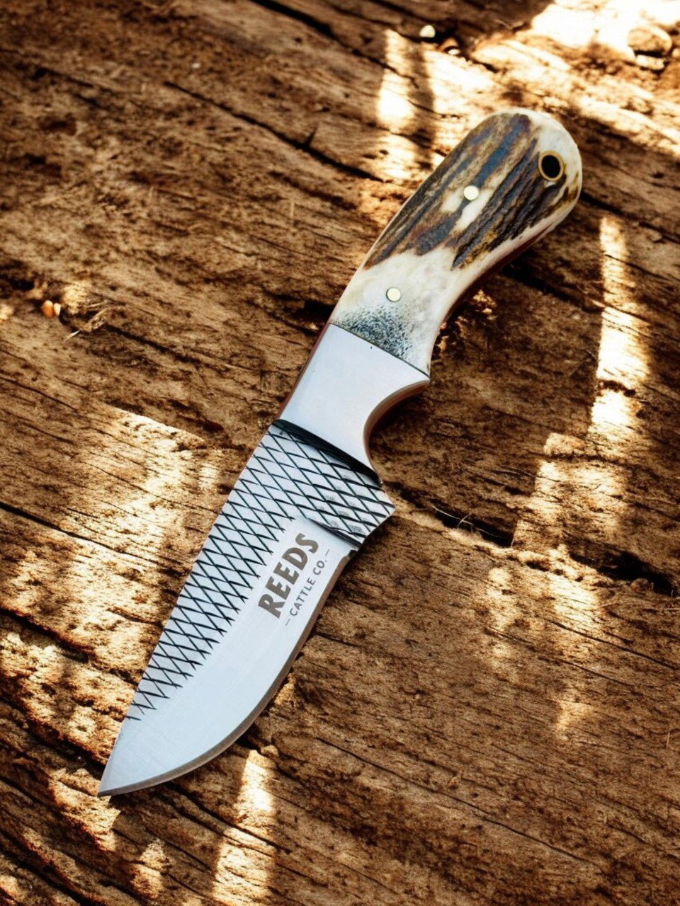 Western Knife with 3.4" Rasp Steel Blade & Antler Horn Handle - I Bought a Yard Sale
